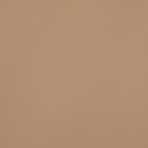 Polaris Standard Rollers Blind - Barley